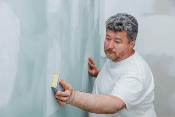 Best Basement Mold Removal  in Southside, AR