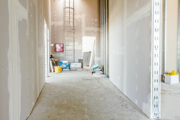 Best Emergency Mold Remediation  in Southside, AR