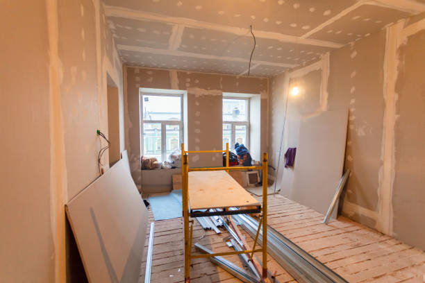 Best Mold Damage Restoration  in Southside, AR